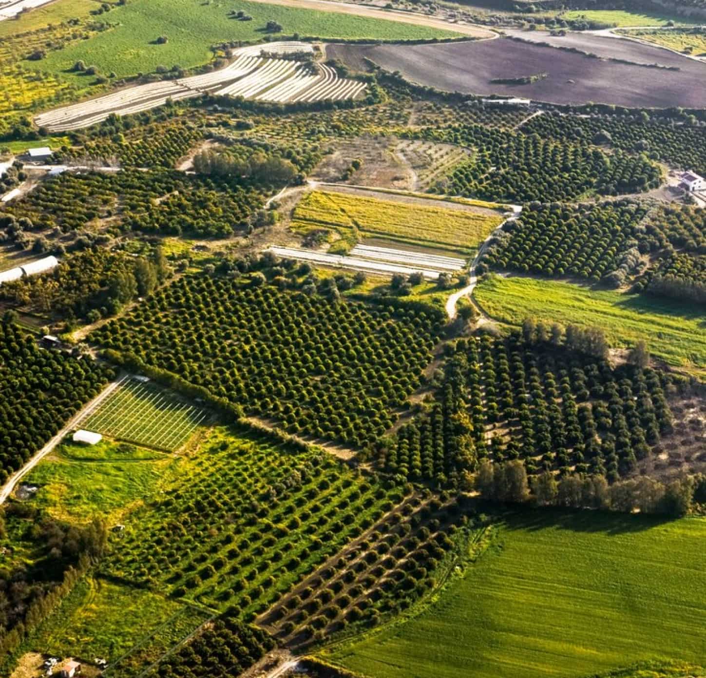 EQVIV-Drohnenanwendungen: Potenzial aus der Luft erschließen 1 eqviv agriculture drone