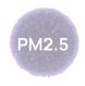 pm2.5