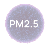 pm2.5